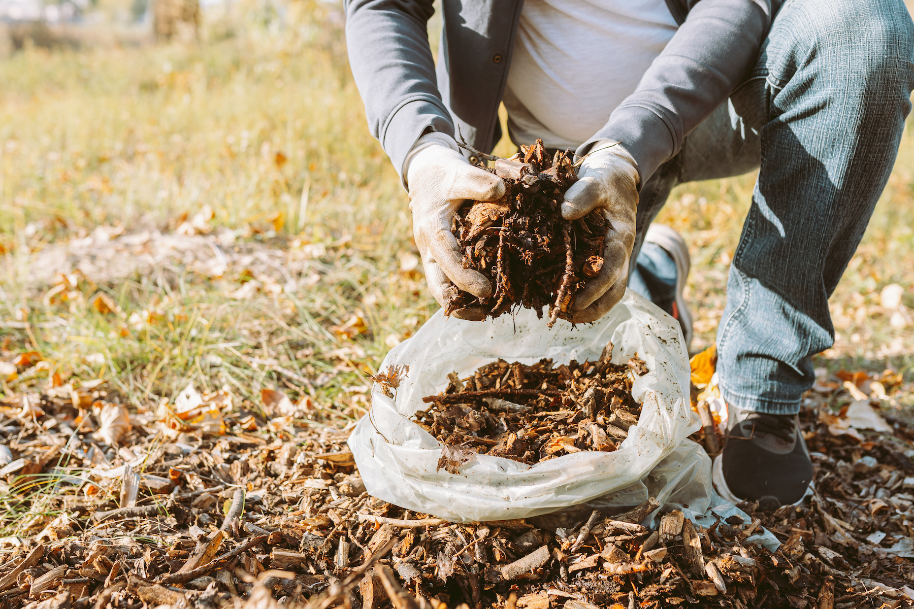 The Benefits of Mulching in Fall Mother Earth News